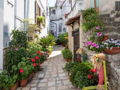 Si tratta di uno dei luoghi pi� fotografati del paese e questo per via dei suoi sfavillanti colori dovuti alle piante e ai fiori che qui vengono curati tutto l�anno dai residenti